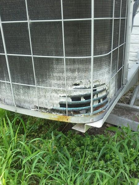 B&H Quality Home Inspection Service