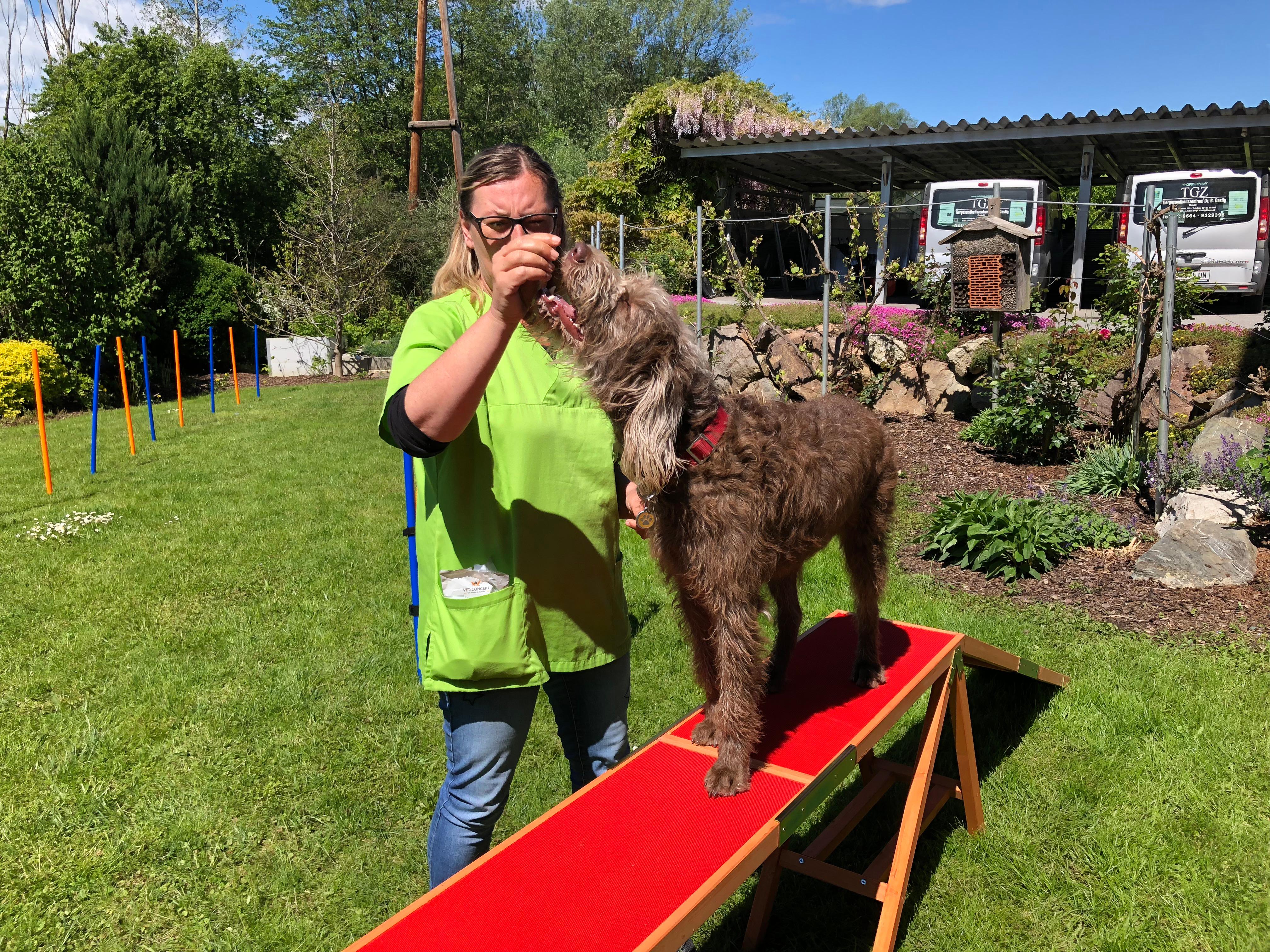 TGZ-Tiergesundheitszentrum GmbH Dr.med.vet. Birgit Dastig, Ragnitz 105 in Ragnitz