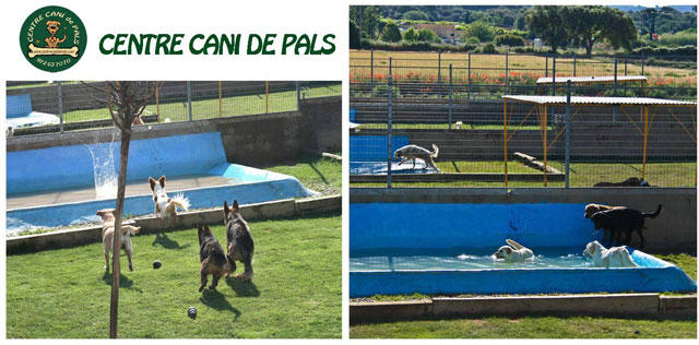 Images Centre Cani de Pals