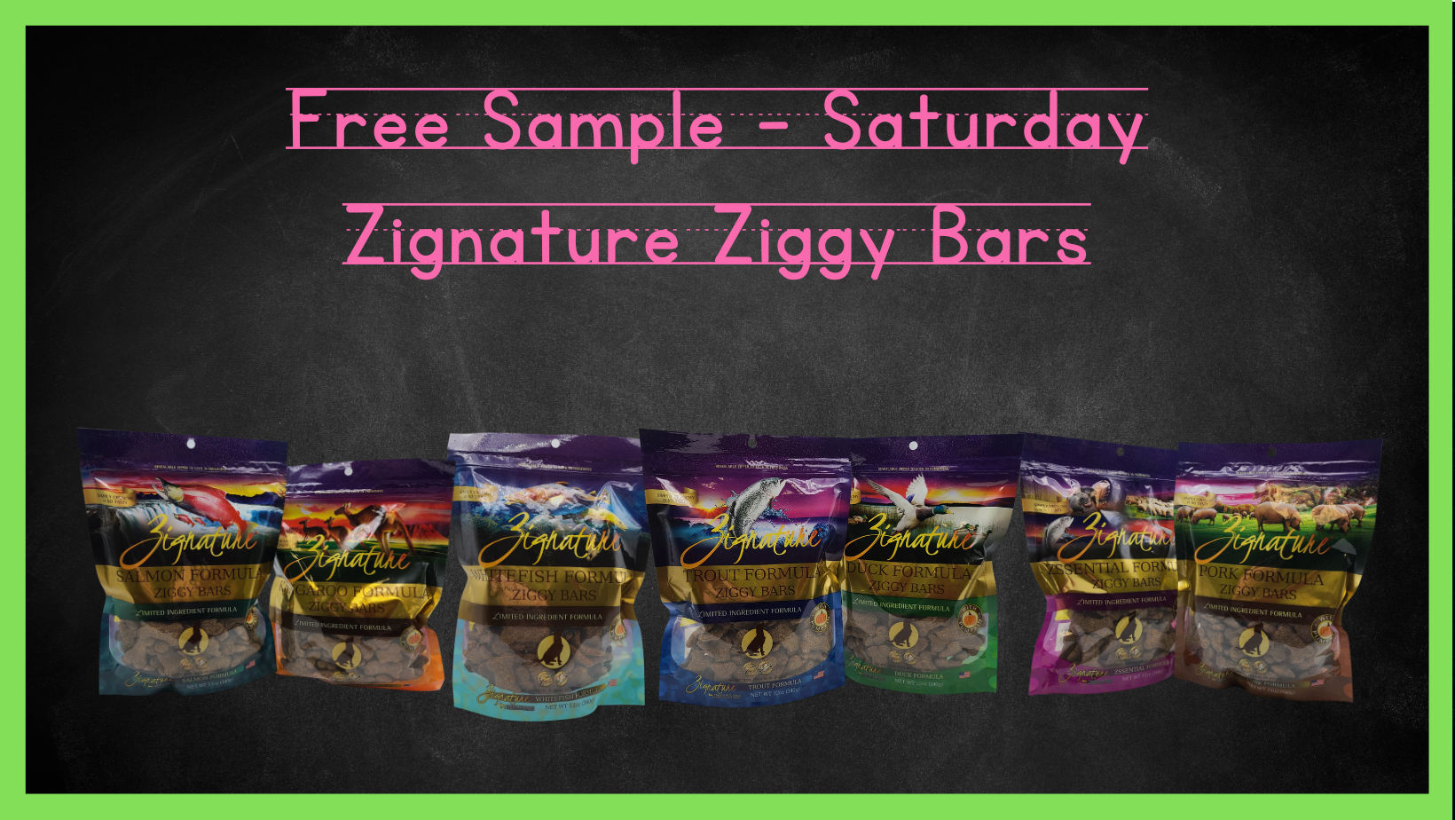 Sample Saturday Ziggy Bars Hungry Hound Boutique And Grooming 9760