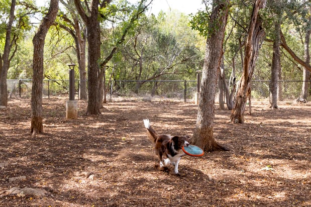 Images Camden Gaines Ranch Apartments