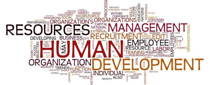 Images DA Consulting