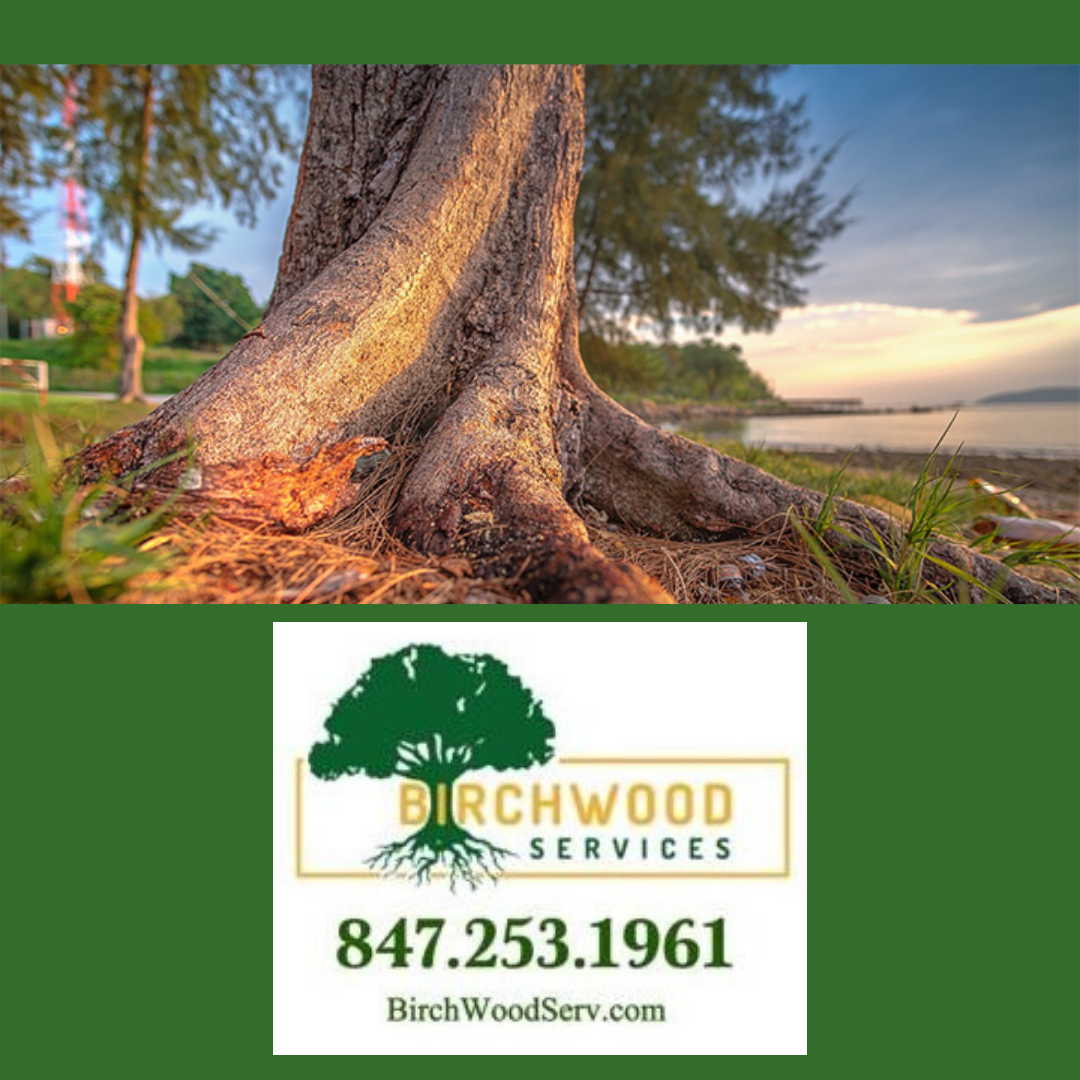 Birchwood Services