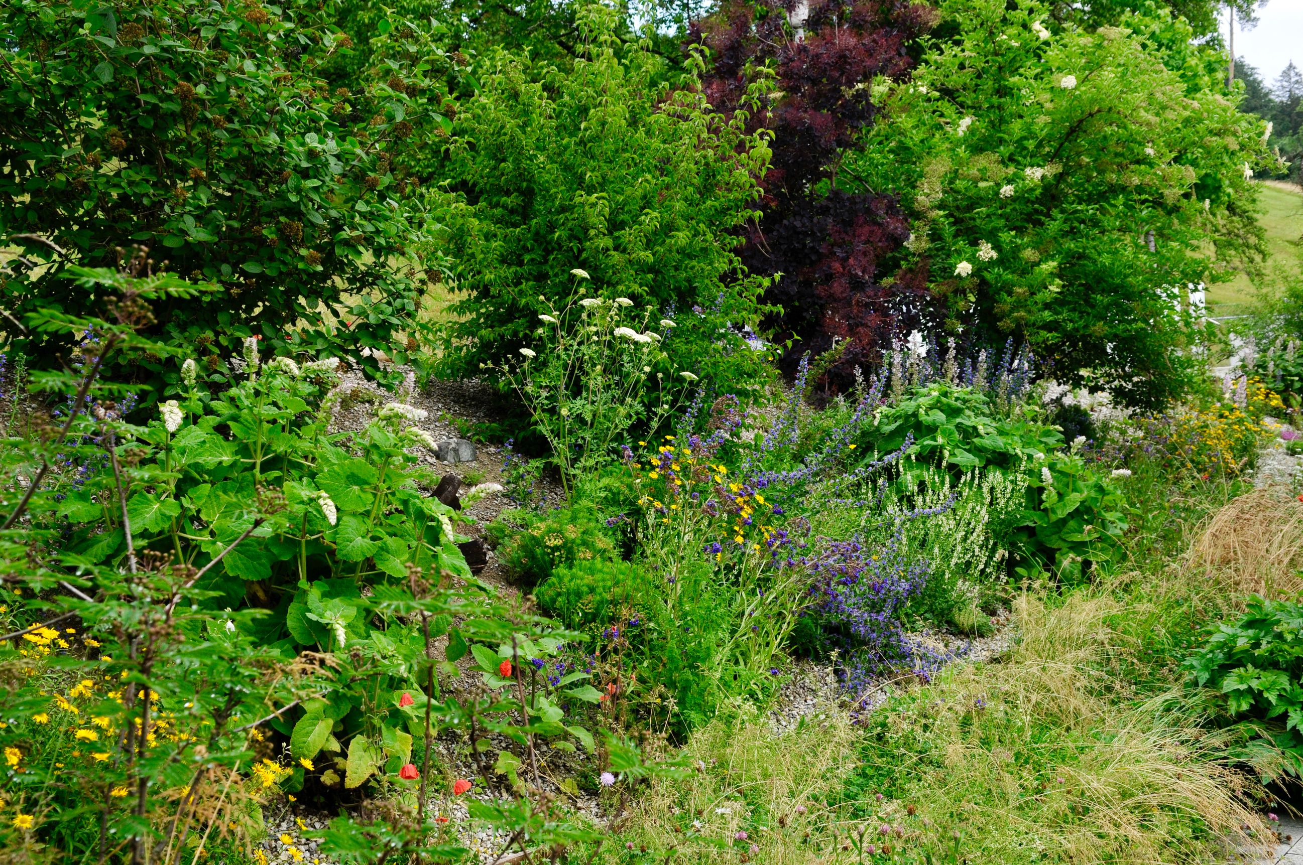 Rutschmann Naturgarten AG, Wiesendangerstrasse 51 in Stadel (Winterthur)