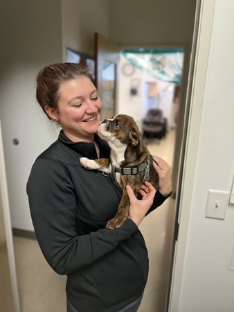 Images VCA Far Country Animal Hospital