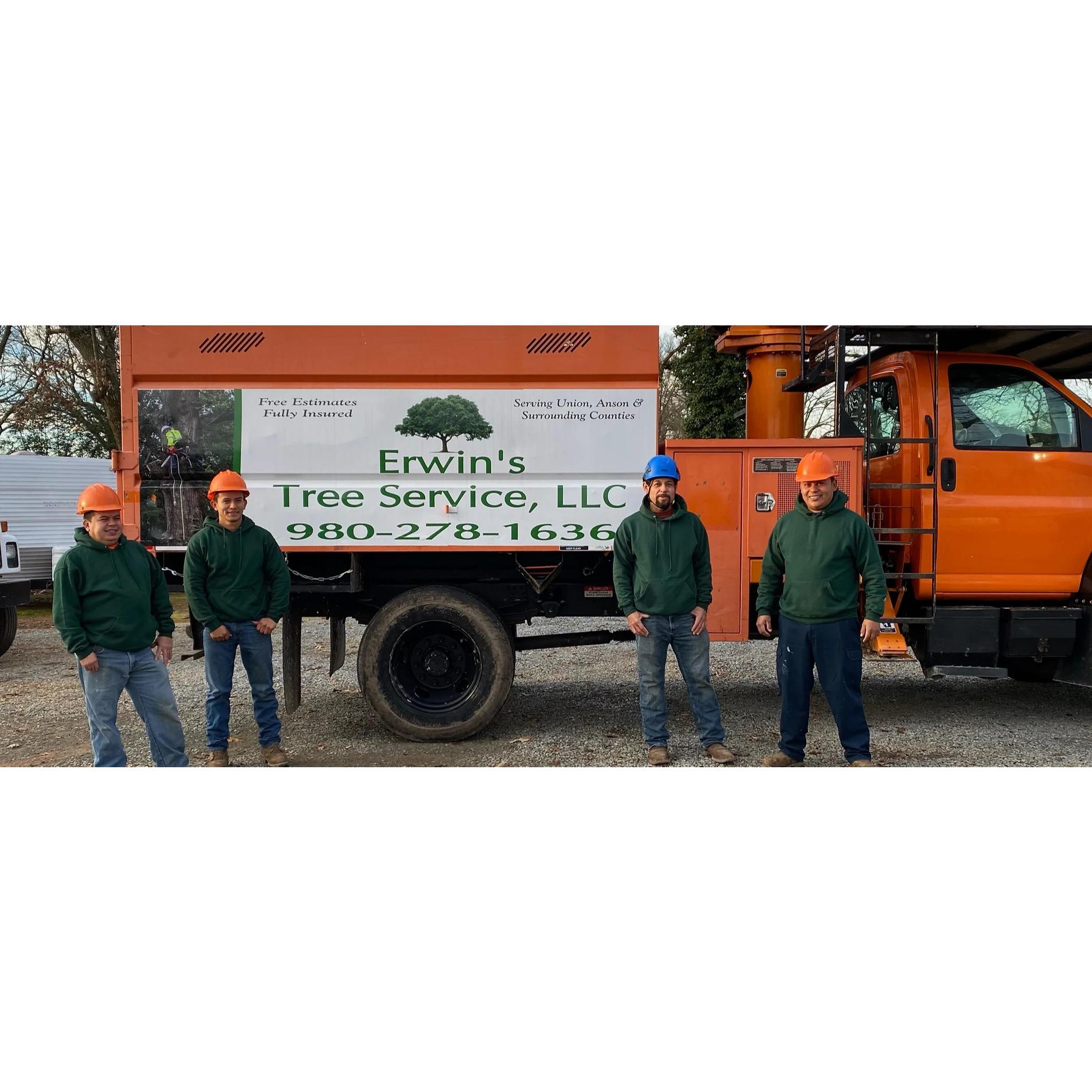 Erwin’s Tree Service, LLC Logo