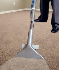 Annandale Carpet Cleaners