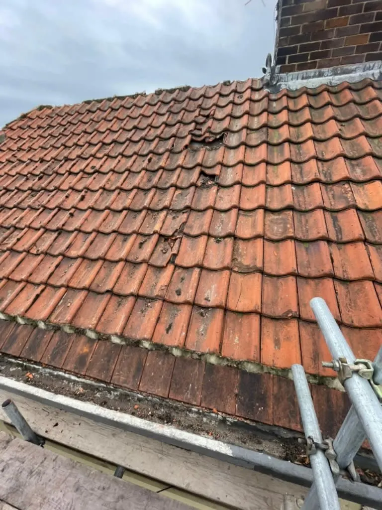 Images MTC Roofline