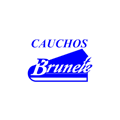 Cauchos Brunete Logo