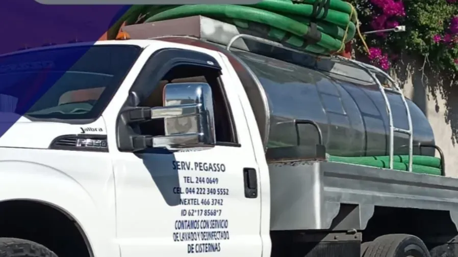 Images Pegasso