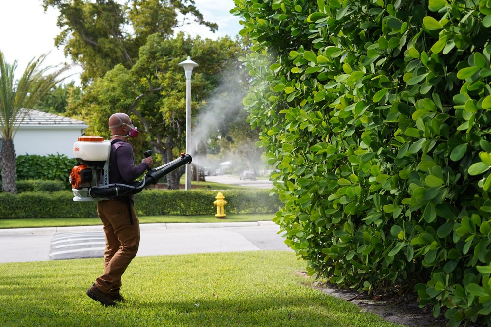 Weed Control and Fertilization Services in Miami by Natural Resources Pest Control.