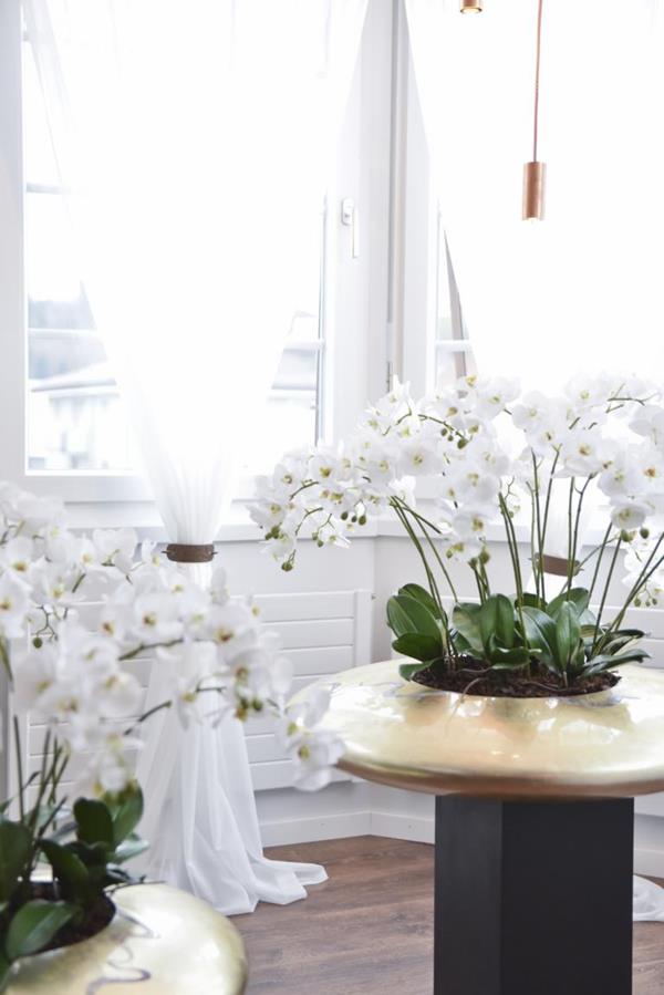 Künzle Tamara, Bahnhofstrasse 2 in Flawil