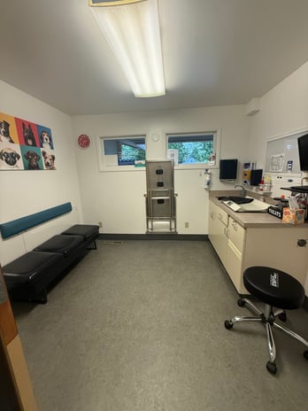 Images VCA Southeast Portland Animal Hospital