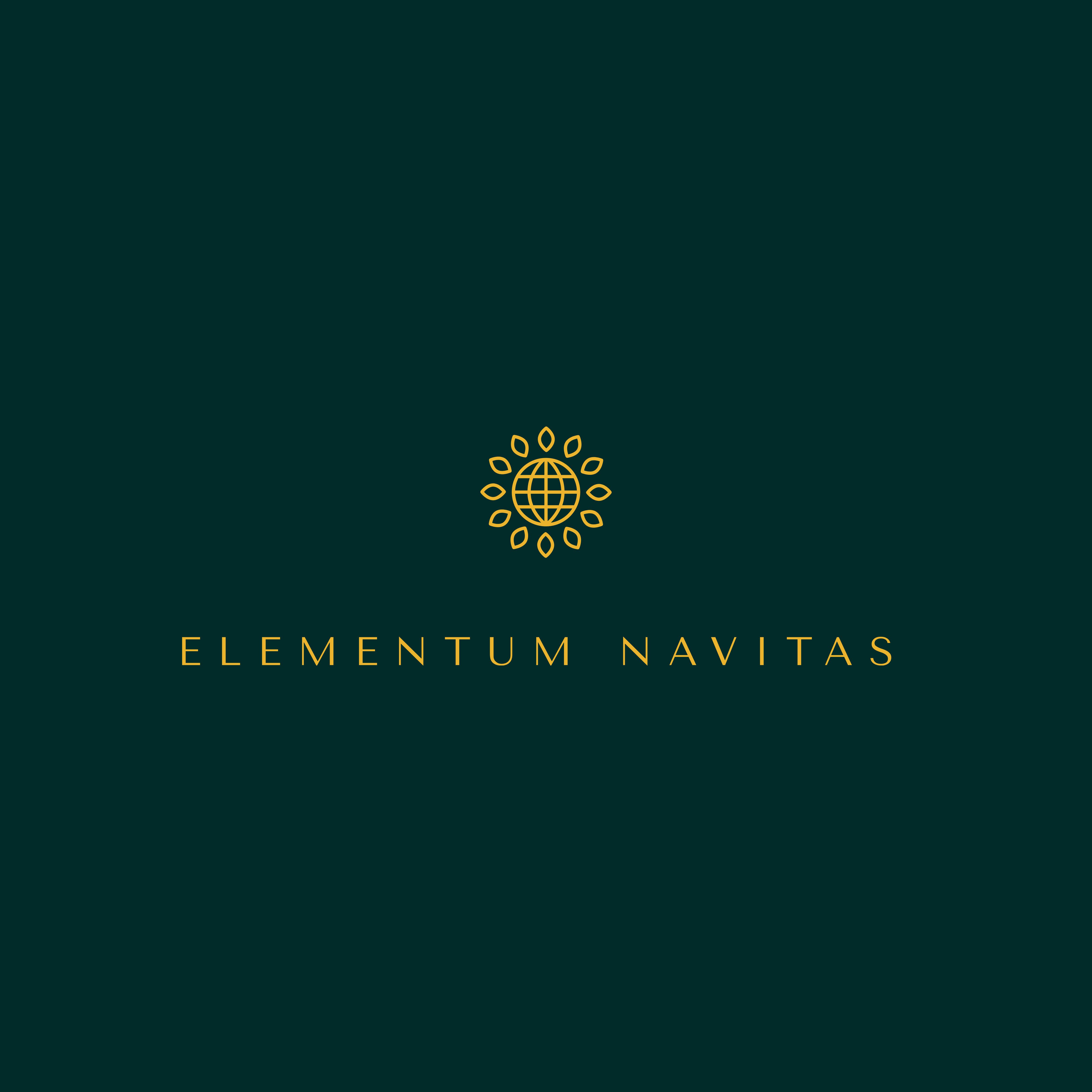 Elementum Navitas Arnstadt UG (haftungsbeschränkt) Logo