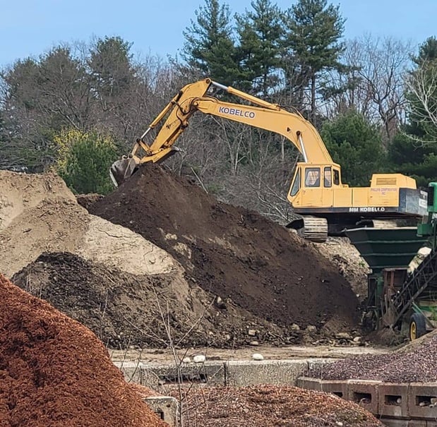 Images Chenier's Gravel Bank
