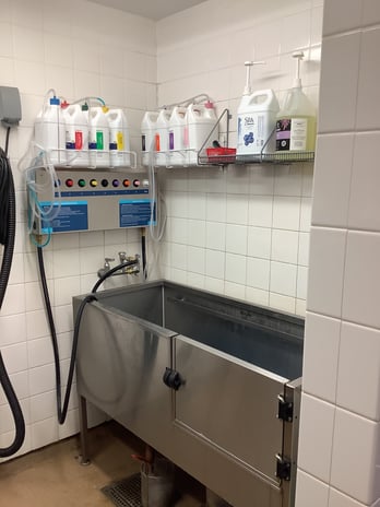 Images Petco Grooming
