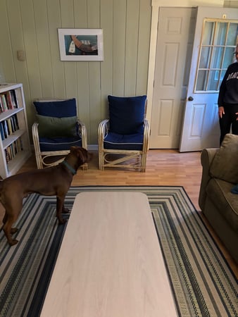 Images Sassafras Rental