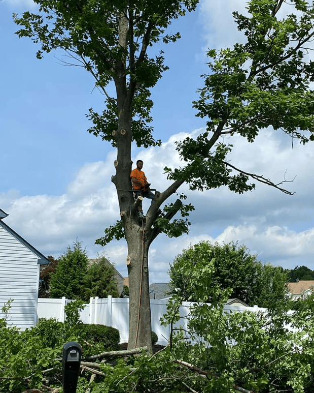 Images Munz's Landscaping & Construction