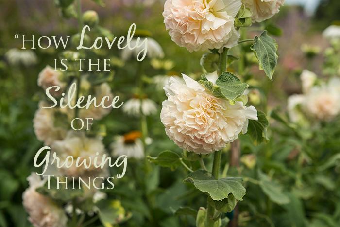 Greer Gardens LLC