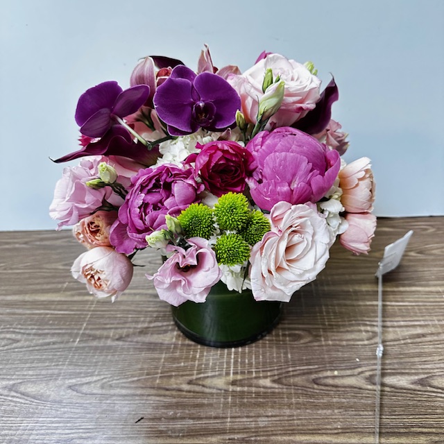 Images Jane's Roses & Flowers