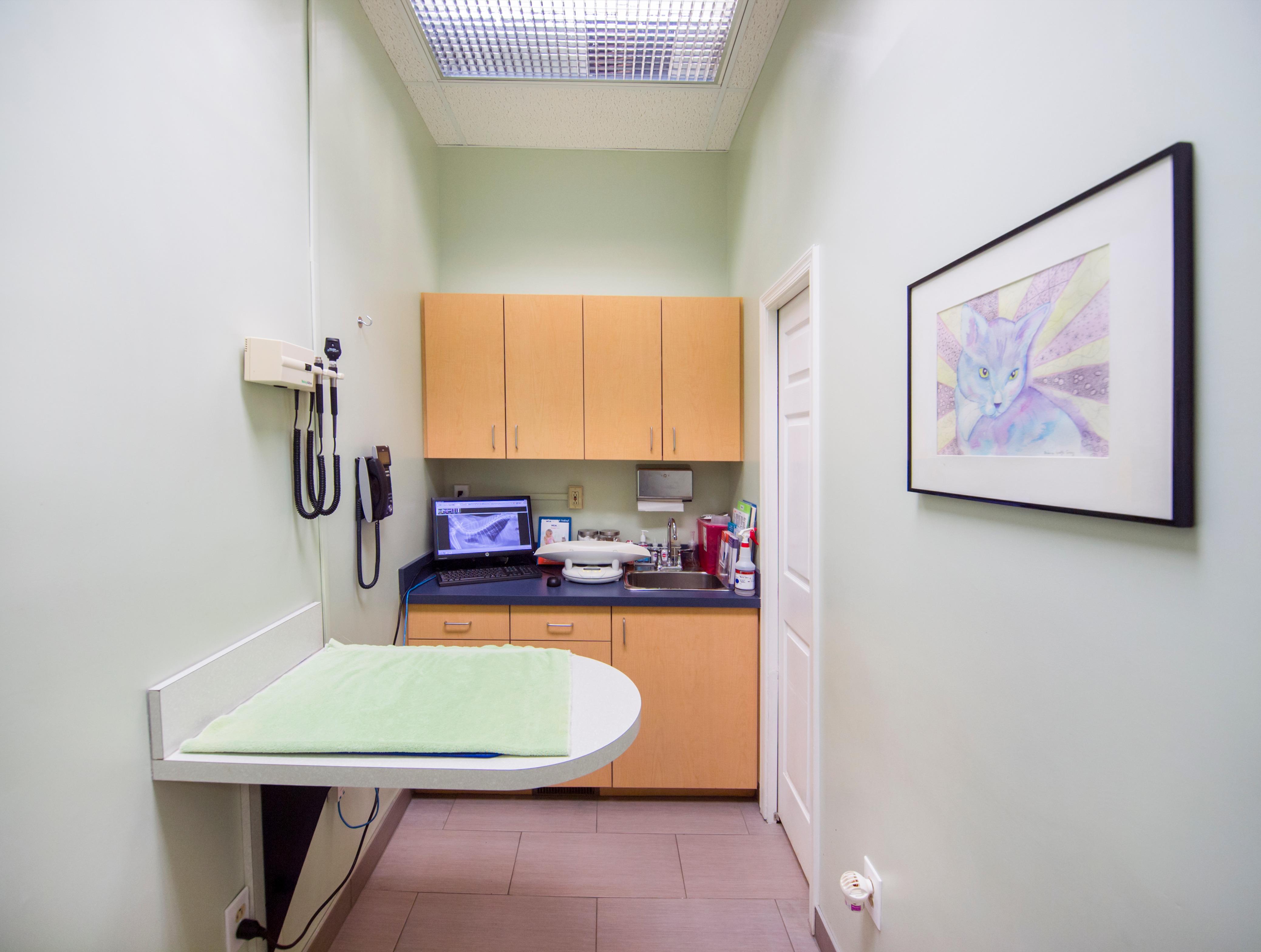 VCA Cat Hospital of Philadelphia Exam Room