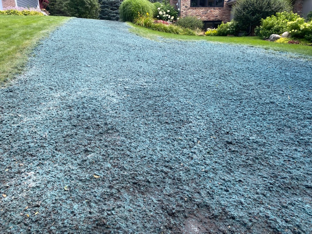 Fresh hydroseeding application ready to take root. A fast, effective way to establish a lush, healthy lawn from the ground up.