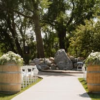 Liv Gracefully Blooms Image