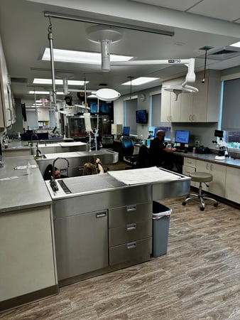 Images VCA Cottonwood Animal Hospital