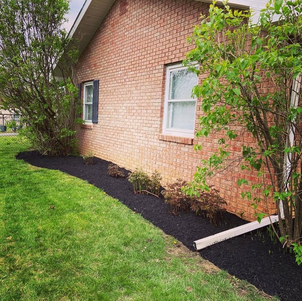 Images Barr Landscaping