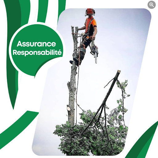 Solution Émondage - Élagueur Logo