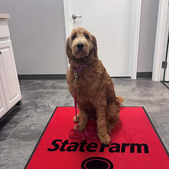 Happy Puppy Day from Toni Moreland State Farm!