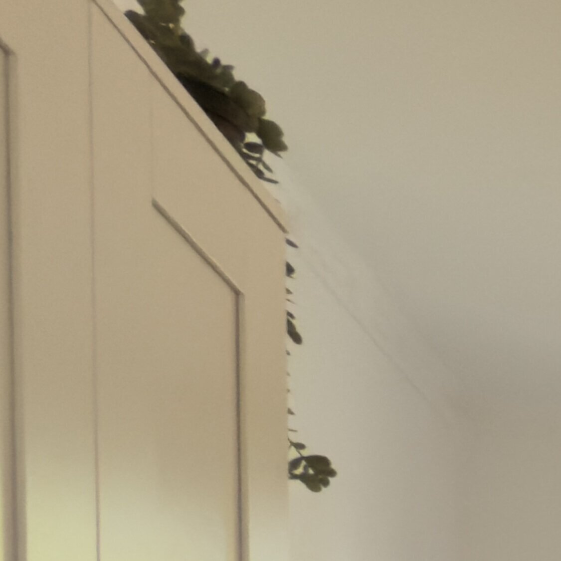 Bilder Monteurwohnung in Neumünster