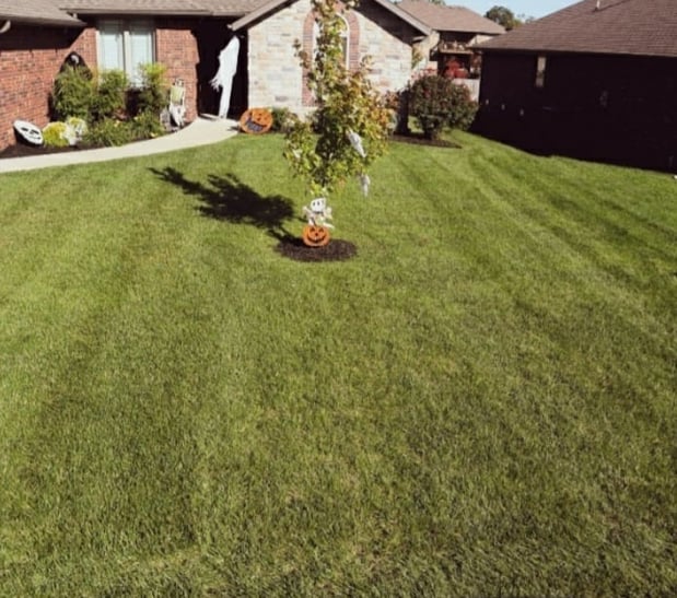 Images Cooks Lawn Care Service