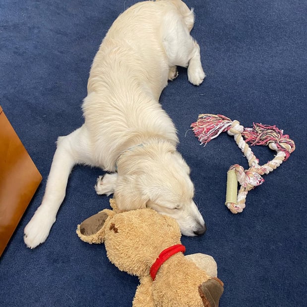 Images Jeff Noviello - State Farm Insurance Agent