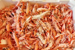 Images Pescheria Tirrena