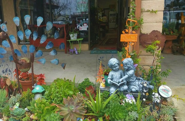 Images Marcy's Attic