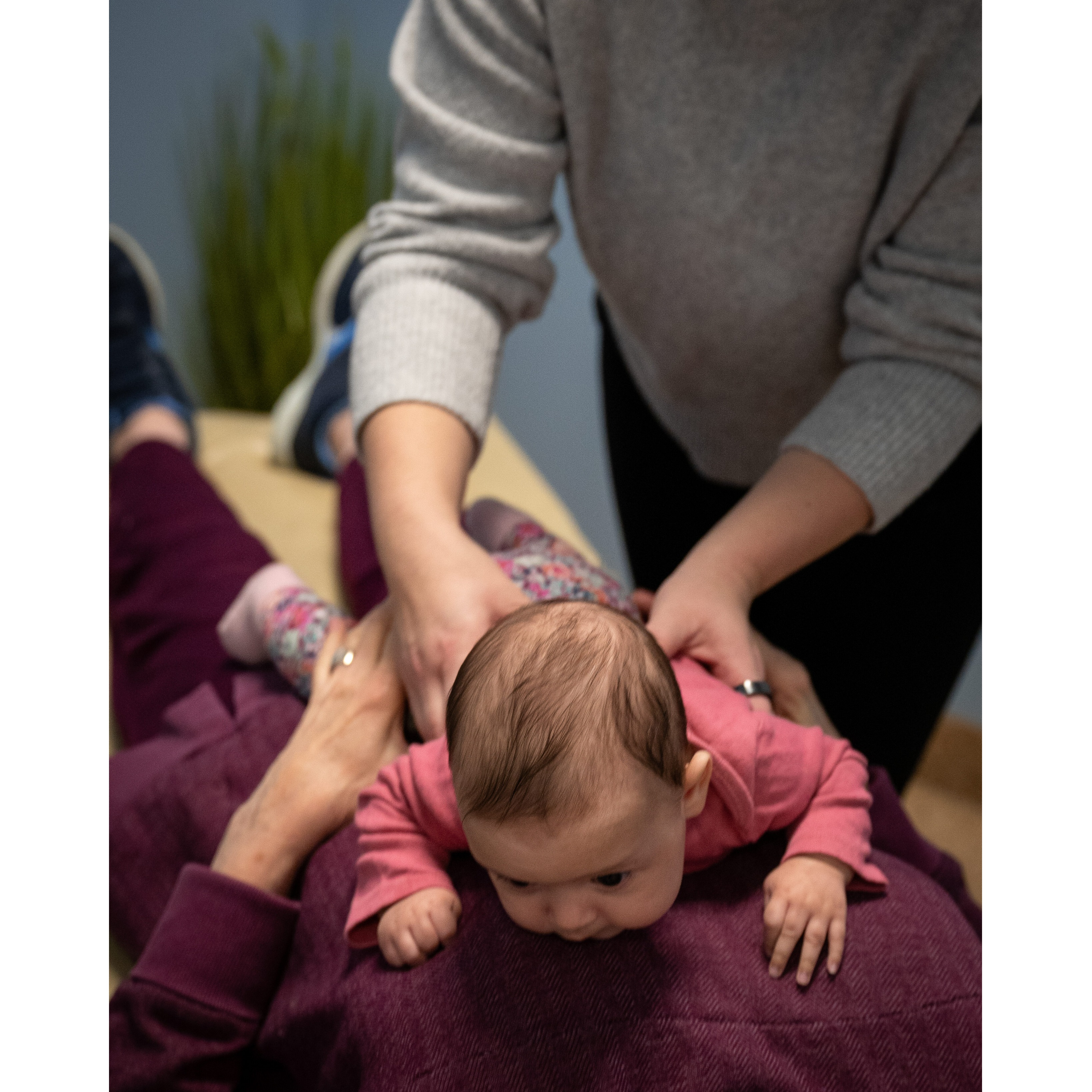 Chiropractor in Blaine, MN