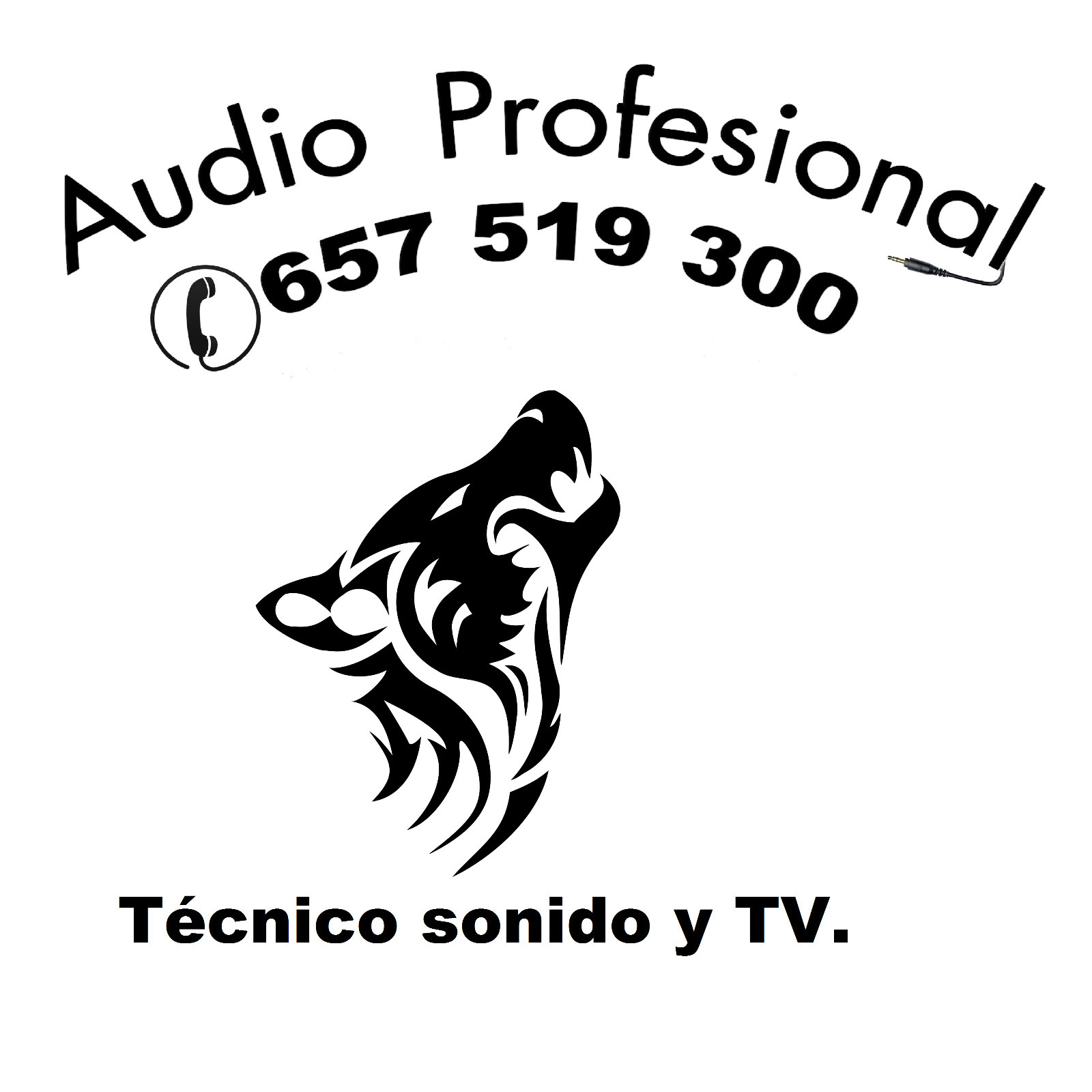 Audio Profesional Logo