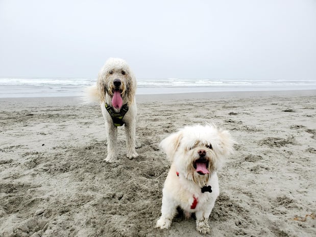 Images Kao Xiong - State Farm Insurance Agent