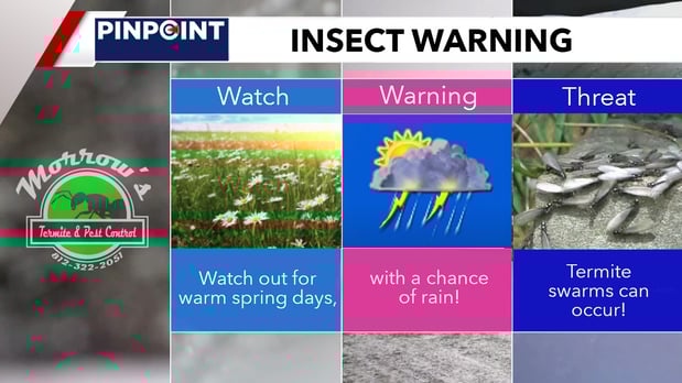 Images Morrow's Termite and Pest Control