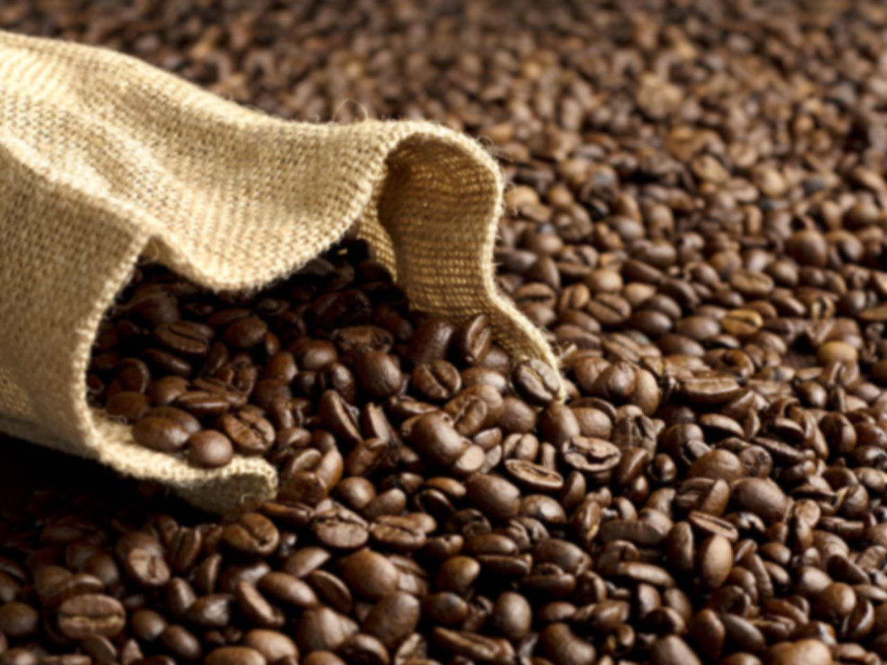 Grill KG, Anton-Proksch-Straße 1 in Weppersdorf