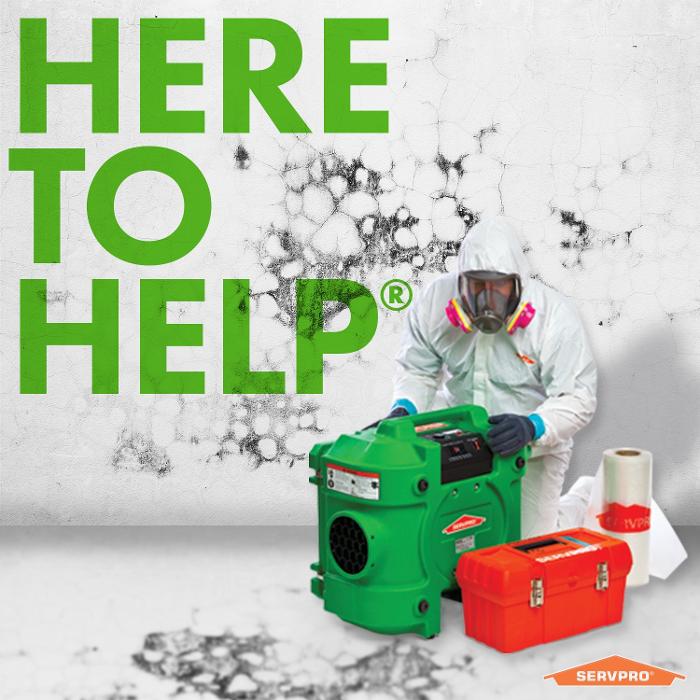 Images SERVPRO of Temecula