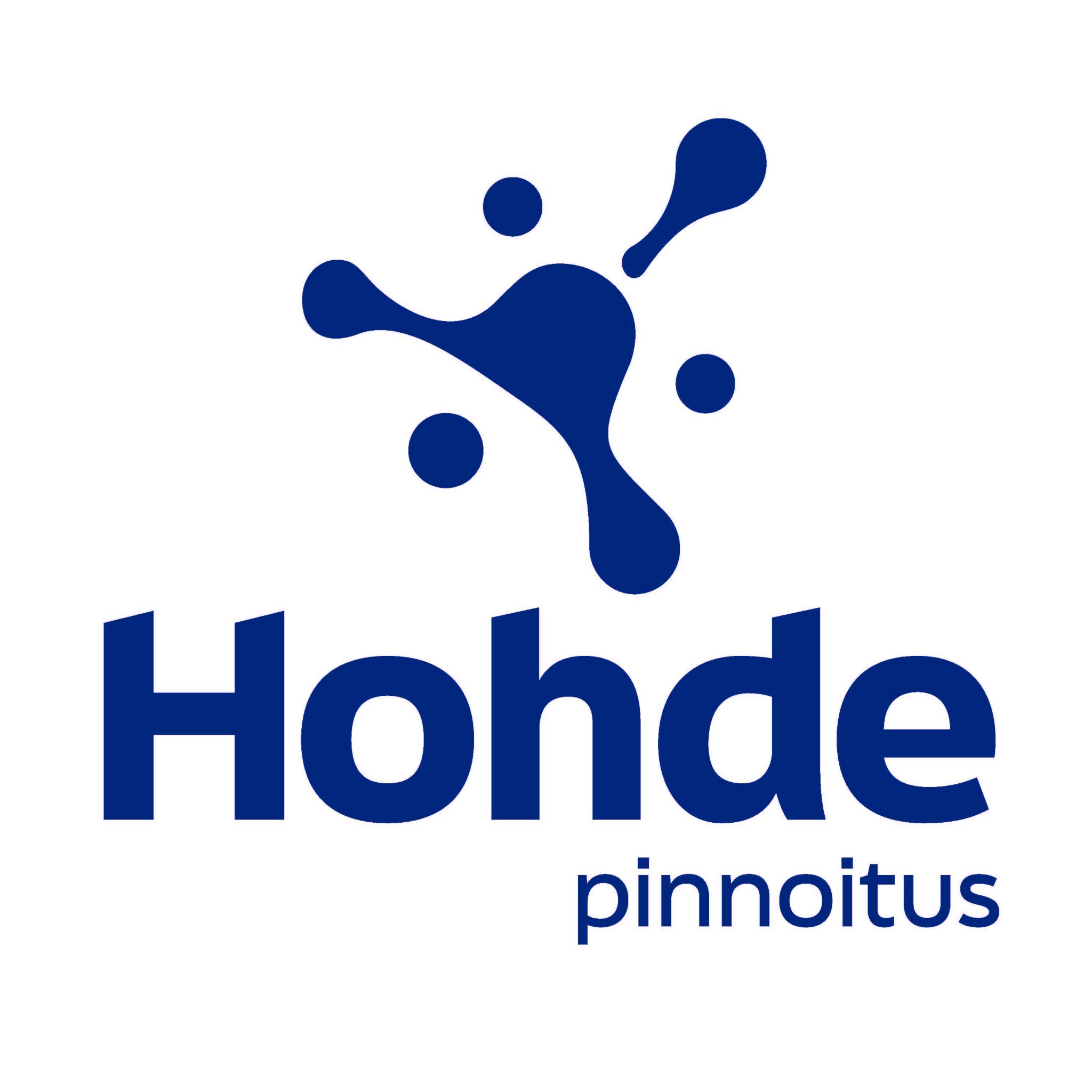 Hohdepinnoitus Logo