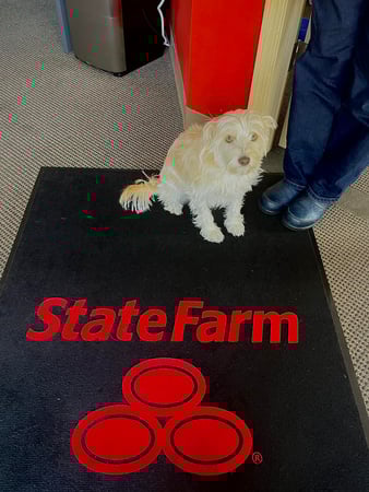 Images Aaron Perry - State Farm Insurance Agent
