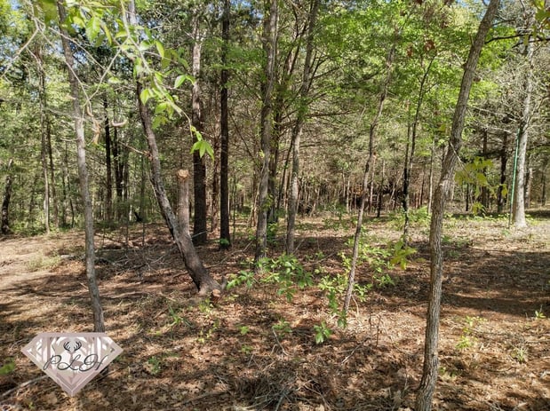 Images Pafford Land & Home