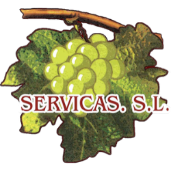 Servicas S.L. Logo