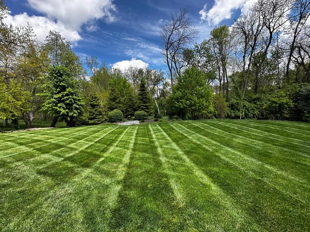 Images Backyard Barber Lawn Care and Landscaping