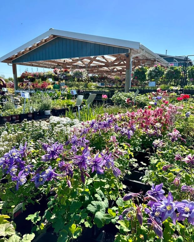 Images Orchard's Nursery