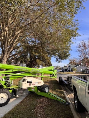 Images Trent's Tree Service The Neighborhood Arborist LLC