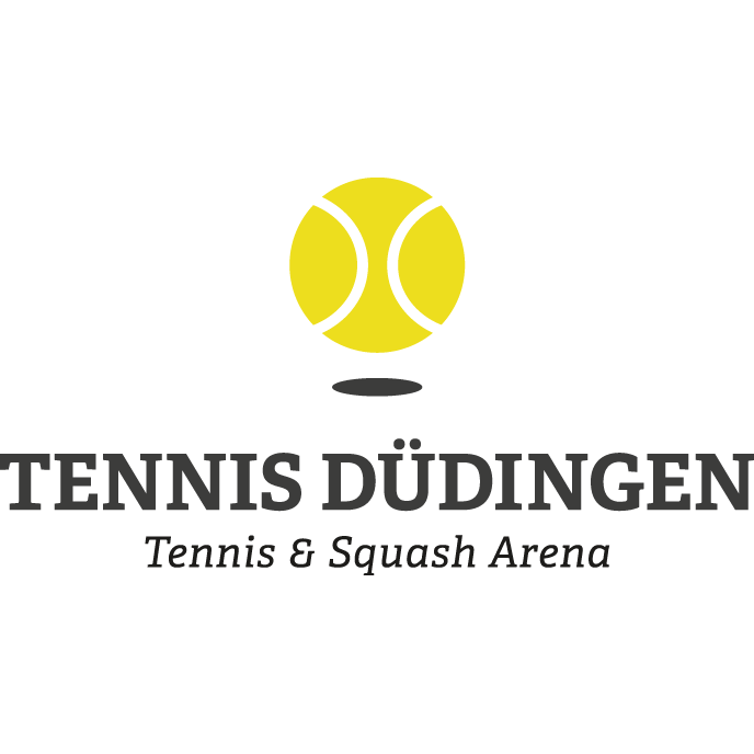 Tennis-Sport Düdingen AG Logo
